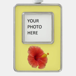 Orange Hibiscus Flower Tropical Floral Silver Plated Framed Ornament