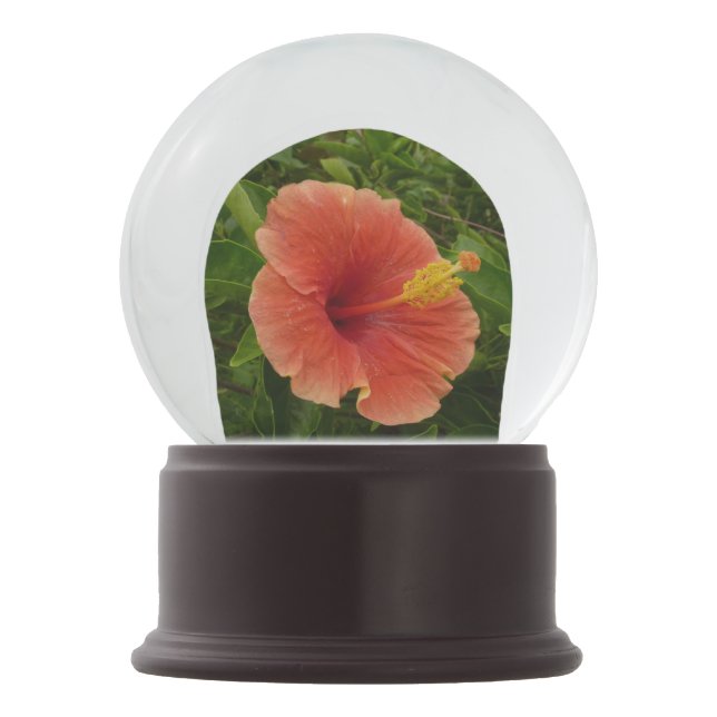 Orange Hibiscus Flower Tropical Floral Snow Globe (Back)