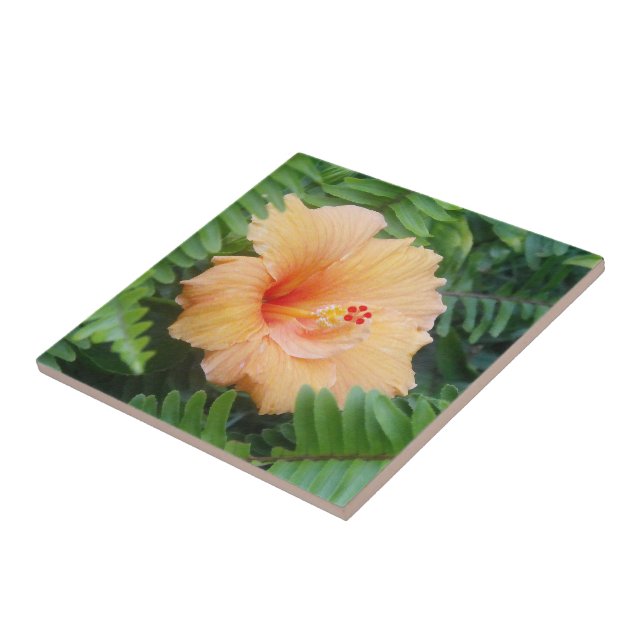 Orange Hibiscus Flower with Ferns Ceramic Tile (Side)
