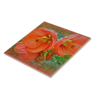 Orange Hibiscus Flowers Ceramic Tile