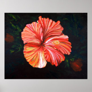 Orange Hibiscus Poster