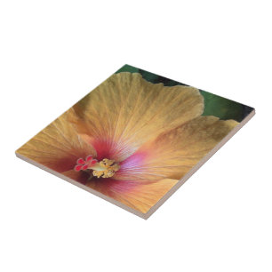 Orange Hibiscus Ruffle Ceramic Tile
