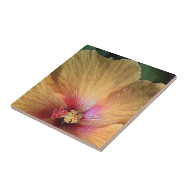 Orange Hibiscus Ruffle Ceramic Tile (Side)