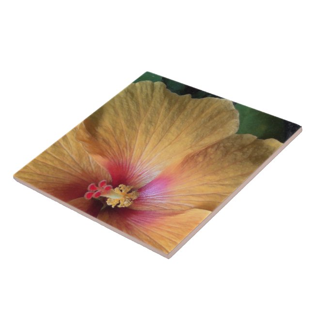 Orange Hibiscus Ruffle Tile (Side)