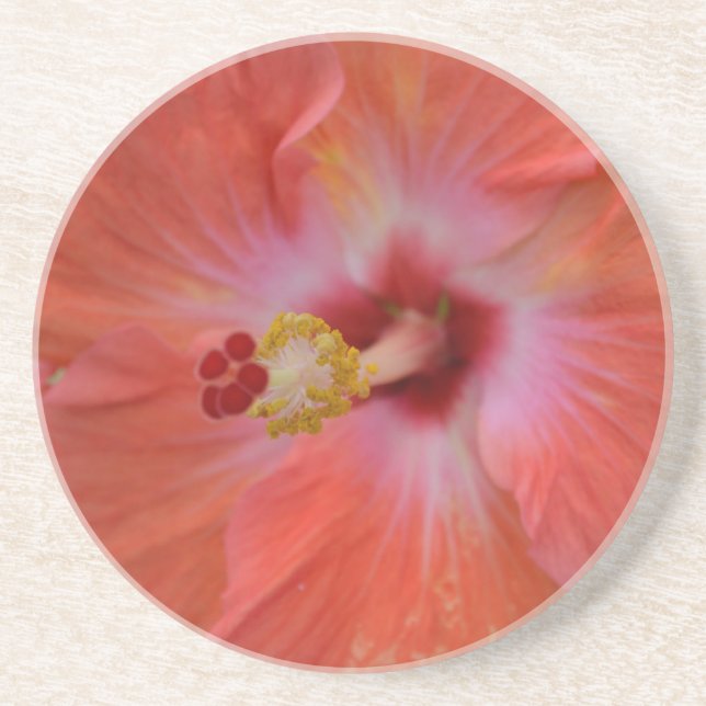 Orange Hibiscus Sandstone Coaster (Front)