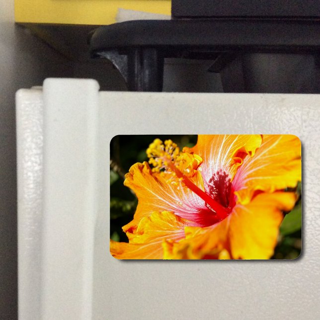 Orange Hibiscus Side View Magnet (Orange Hibiscus Side View Flexible Magnet)