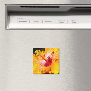 Orange Hibiscus Side View Magnet