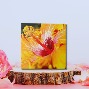 Orange Hibiscus Side View Tile
