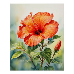 Orange Hibiscus Tropical Floral Wall Art