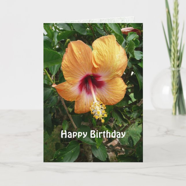 Orange Hibiscus Tropical Flower Birthday Template (Front)