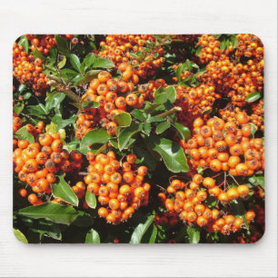 Orange Holly Berries Mouse Pad