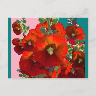 Orange Hollyhock Garden Gifts Postcard