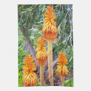 Orange Hot Poker Flowers, Tea Towel