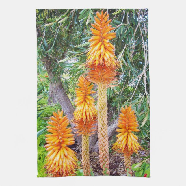 Orange Hot Poker Flowers, Tea Towel (Vertical)