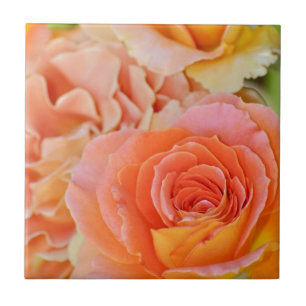 Orange hybrid tea rose tile