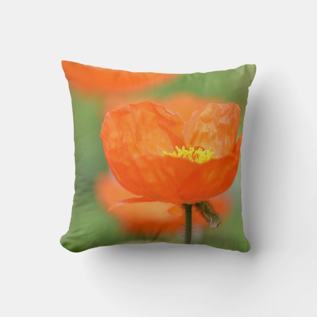 Orange Iceland Poppy Flower Cushion (Front)