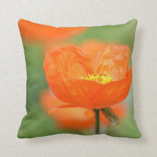 Orange Iceland Poppy Flower Cushion