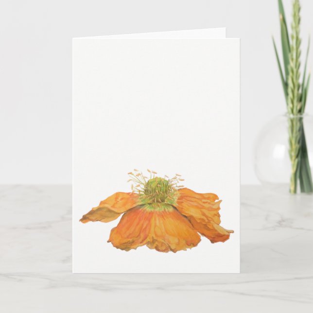 Orange Icelandic Poppy Greeting Card 5" x 7" (Front)