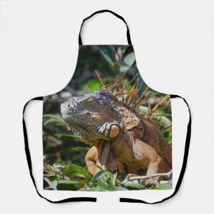 Orange Iguana, Belise Lizard Apron