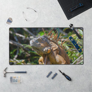 Orange Iguana, Wildlife Lizard Photography Desk Mat