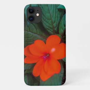 Orange Impatiens Flower iPhone 11 Case