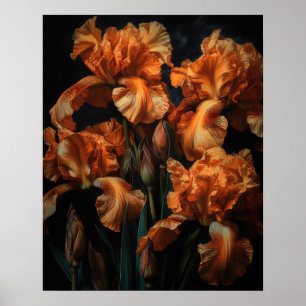 Orange Iris Flowers Art Print Poster