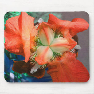 Orange Iris Mousepad
