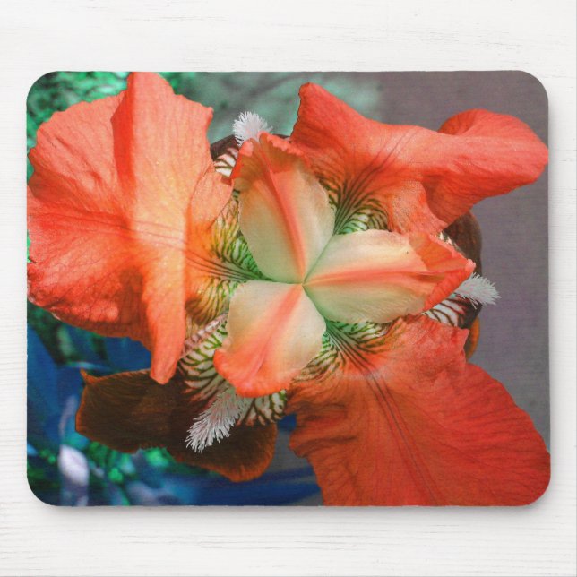 Orange Iris Mousepad (Front)
