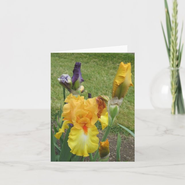 Orange Iris Small Note Card (Front)