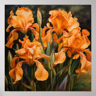 Orange Irises Flower Art Print Poster