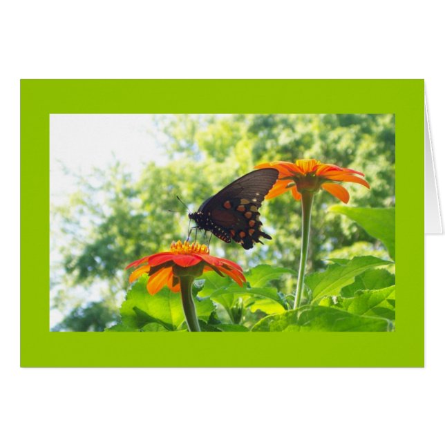 Orange is My Happy Colour (Front Horizontal)