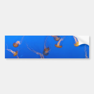 Orange Jellyfish Bumper Sticker