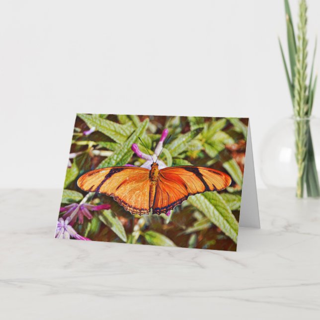 Orange Julia Butterfly Birthday Card (Front)