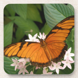 Orange Julia Butterfly Cork Coasters