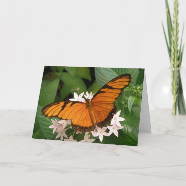 Orange Julia Butterfly Greeting Card (Front)
