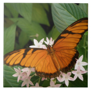 Orange Julia Butterfly Tile