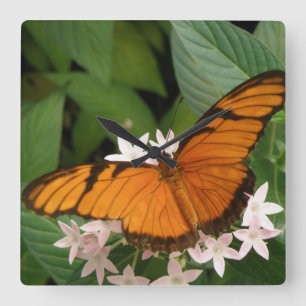 Orange Julia Butterfly Wall Clock