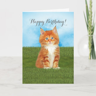Orange Kitten Blue Eyes Birthday Card