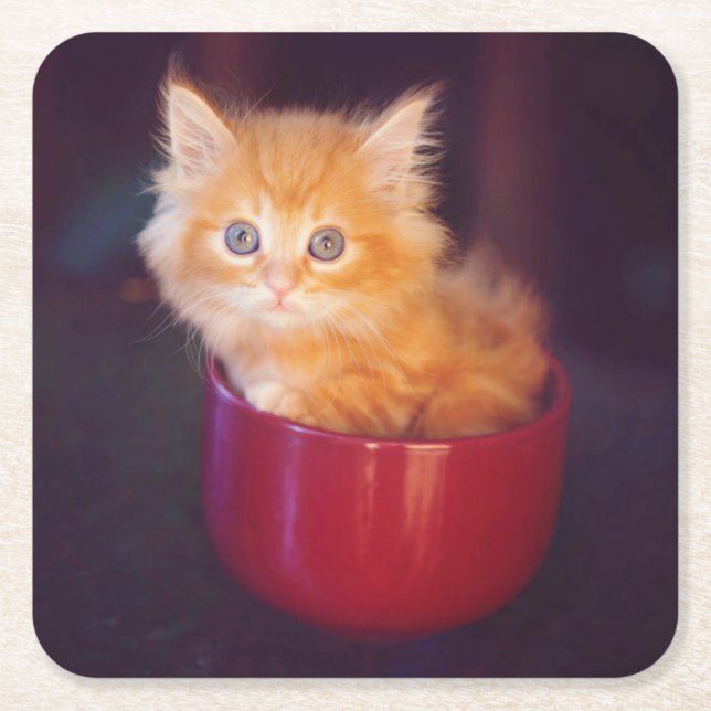 Orange Kitten In A Red Mug Square Paper Coaster (Front)