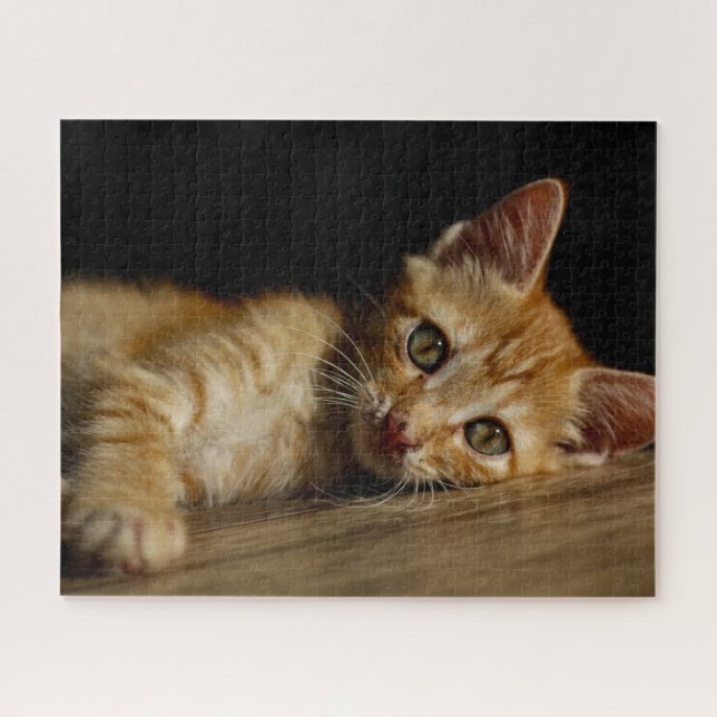 Orange Kitten Jigsaw Puzzle (Horizontal)