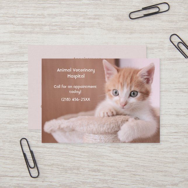 Orange Kitten Pet Care Appointment  Business Card (Front/Back In Situ)