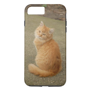 Orange Kitten Photo iPhone 8 Plus/7 Plus Case
