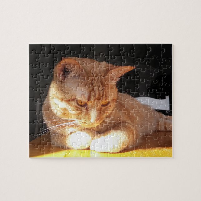 Orange Kitten Puzzle (Horizontal)