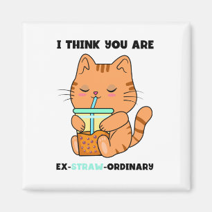 Orange kitten you are extraordinary cute boba magnet