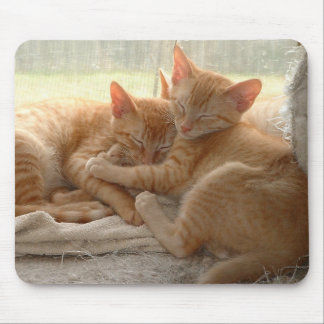 Orange Kittens Mouse Pad