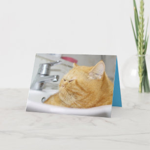 Orange Kitty Cat Cute Customisable Card