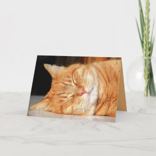 Orange Kitty Cat Cute Customisable Card