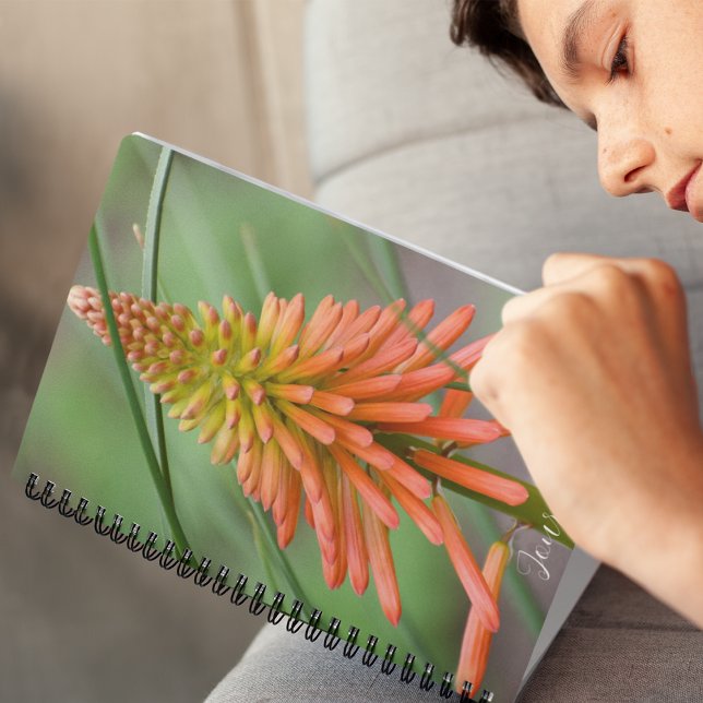 Orange Kniphofia Plant Bloom Floral Notebook (In Situ)
