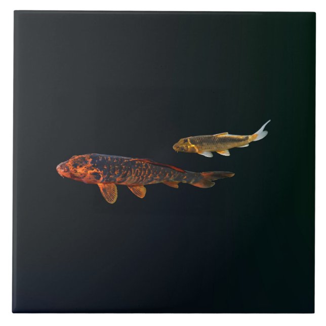 Orange Koi and Gold Koi Ceramic Tile (Front)