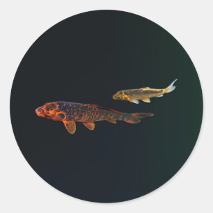 Orange Koi and Gold Koi Classic Round Sticker